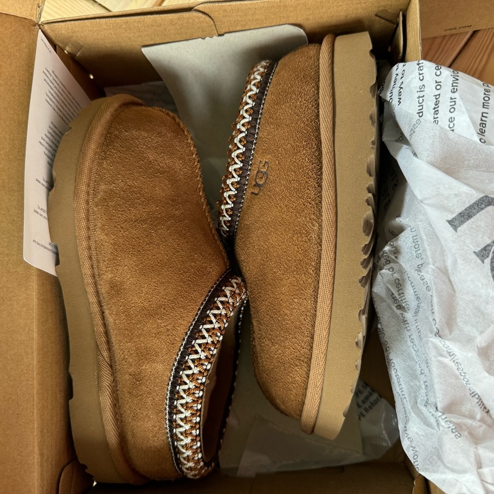 Toddler Tasman Uggs**** never worn!